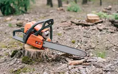 stump grinding project